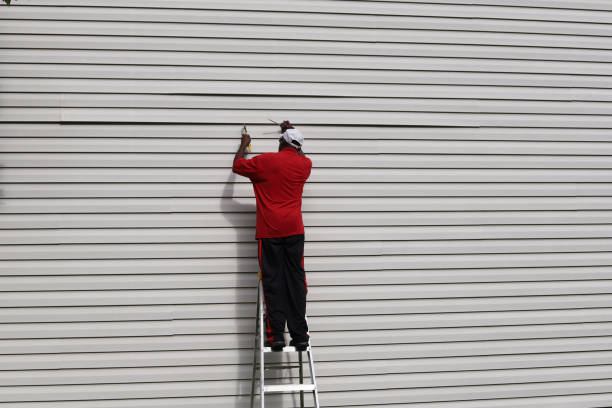 Affordable Siding Repair and Maintenance Services in Grand Marais, MN