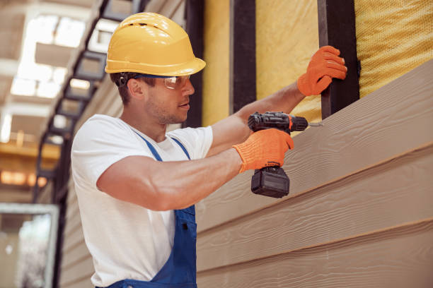 Best Siding Painting and Refinishing  in Grand Marais, MN